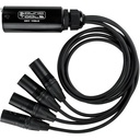 SoundTools CAT Tails MX Four XLR Male Audio Lines Down Shielded Cat 5/6/7 Cable #SOCTMX #CTMX